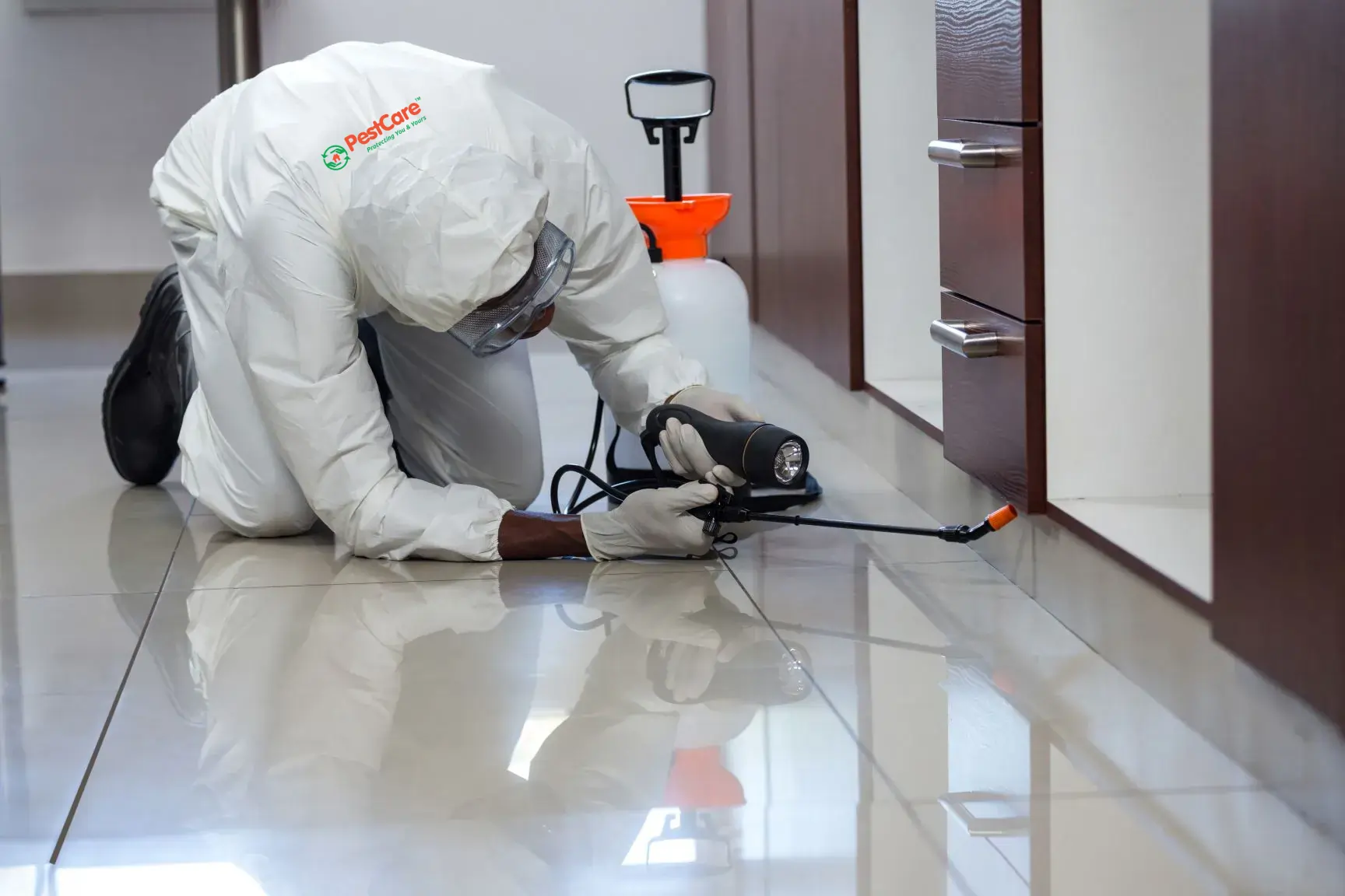 Termite Control Service in Ahmedabad